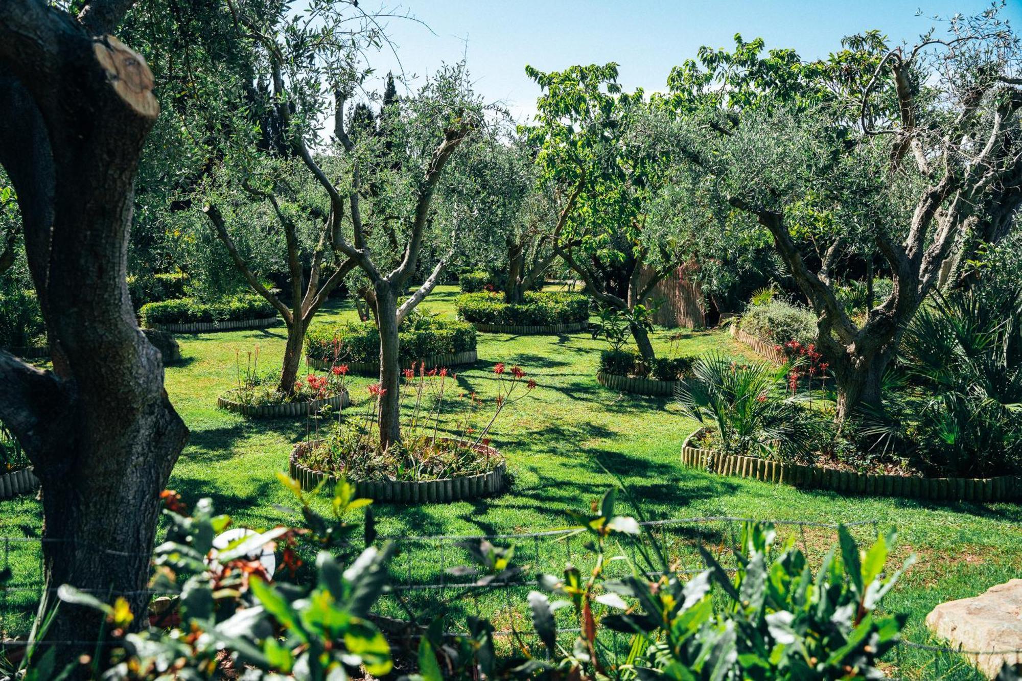 Residence Solemaremma Castiglione della Pescaia Eksteriør billede
