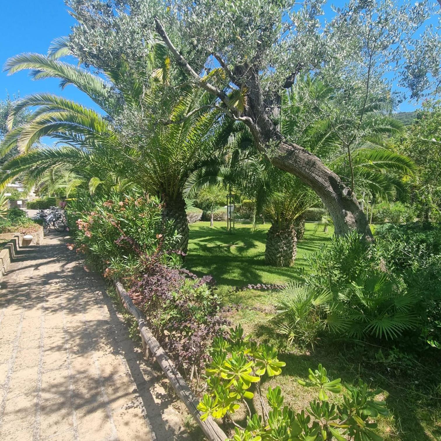 Residence Solemaremma Castiglione della Pescaia Eksteriør billede