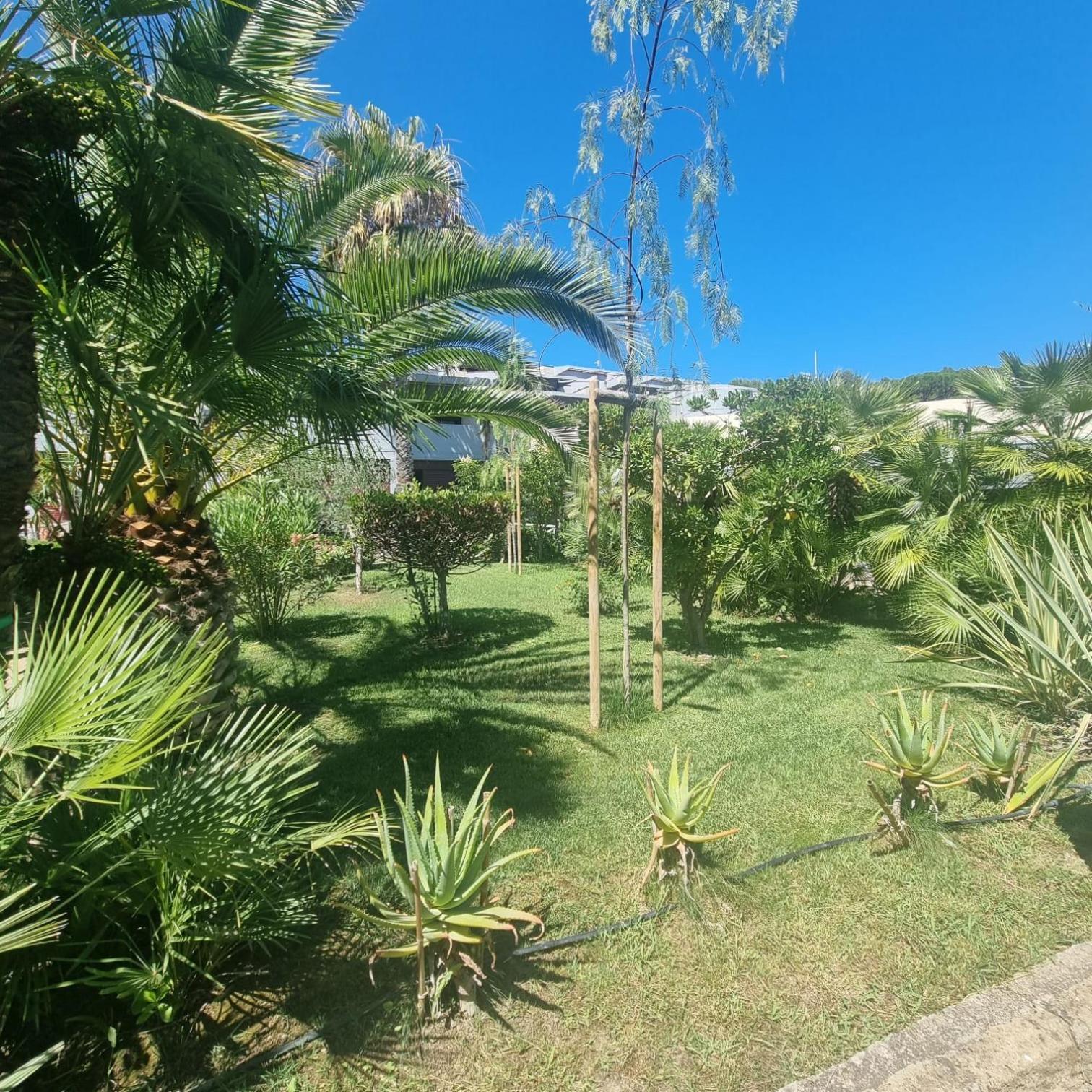 Residence Solemaremma Castiglione della Pescaia Eksteriør billede